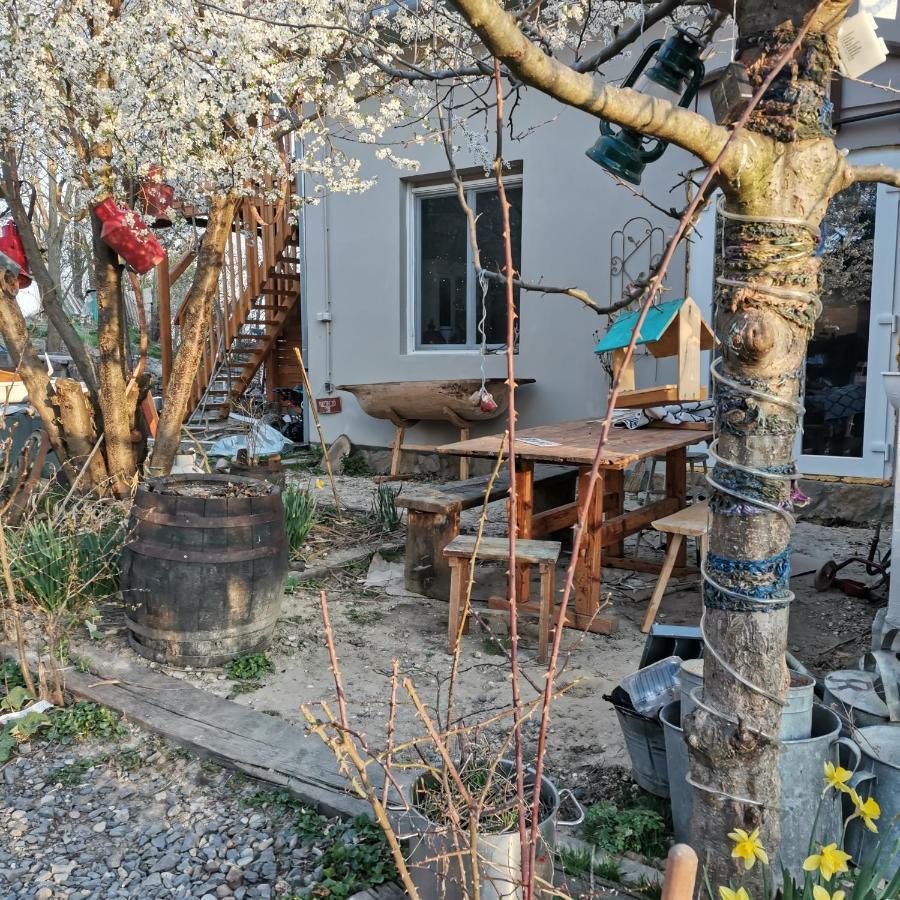 Forest View Studio Apartment Kaposhomok Exterior photo