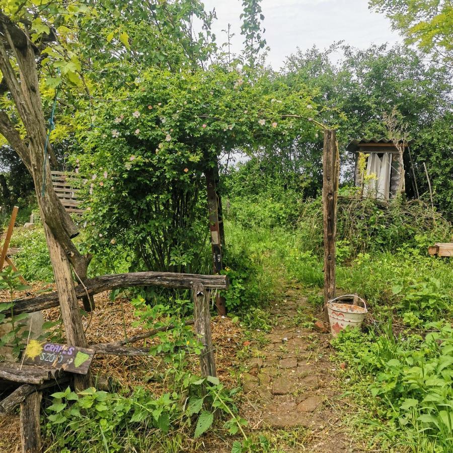 Forest View Studio Apartment Kaposhomok Exterior photo